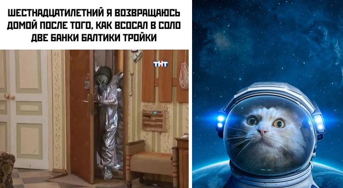 Картинки прикольные и смешные фото приколы