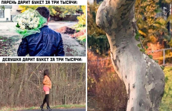 Картинки-приколы с надписями, смешные фото