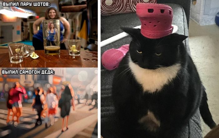 Картинки с надписями смешные до слез