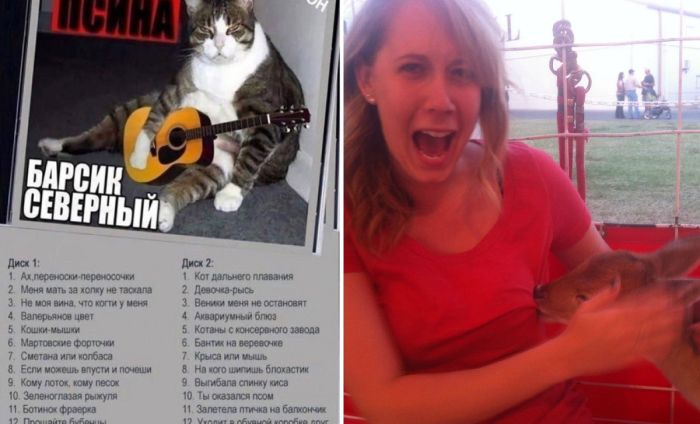 Картинки с прикольными надписями и смешные фото