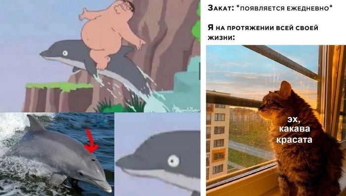 Прикольные картинки и много позитива (40 фото)