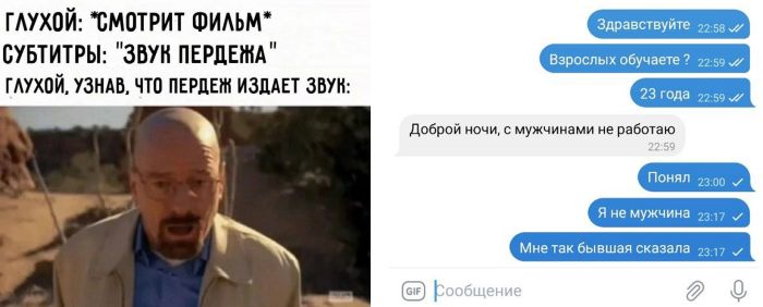 Самые смешные прикольные картинки, фото приколы