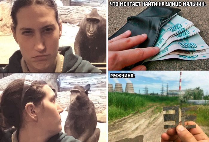 Самые свежие уморительные картинки с приколами