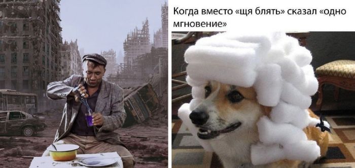 Смешные фото приколы новые