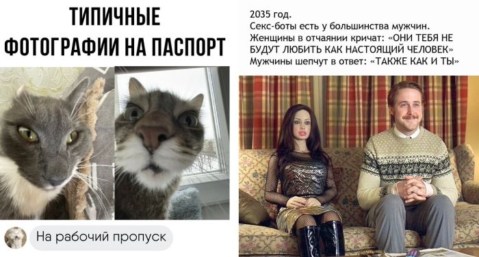 Смешные Картинки которые поднимут Вам настроение