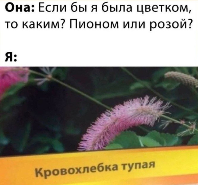 Смешные шутки про отдых