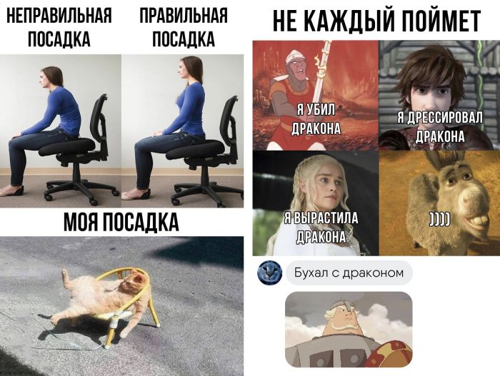 Юмор — новые юморные картинки