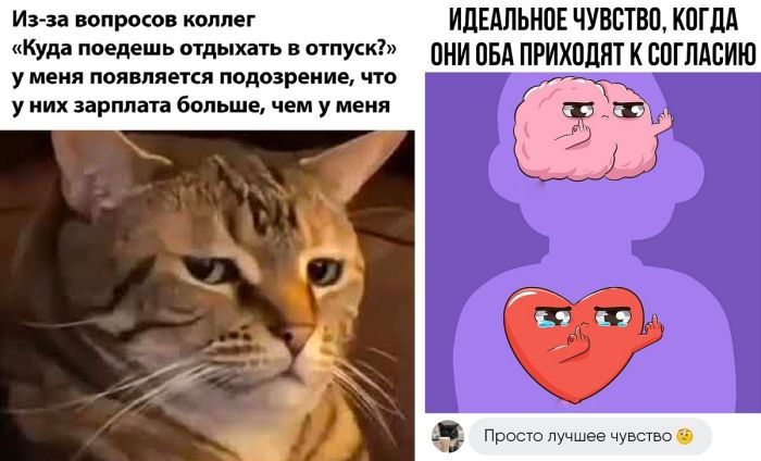 Картинки смешные новые