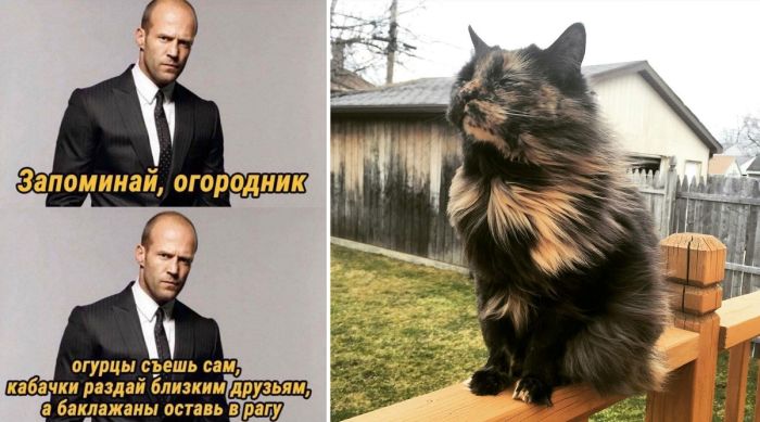 Прикольные фотографии и смешные картинки