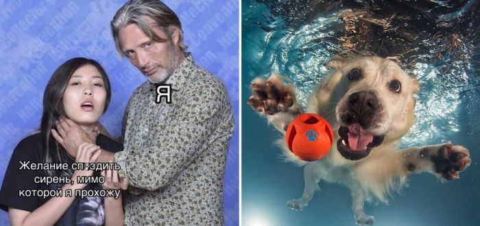 Приколы, юмор, смешные фото