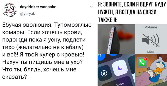 Самые прикольные приколы