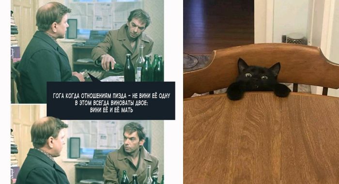 Забавные картинки, прикольные фото