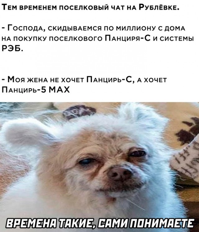 Мемы с надписями новые