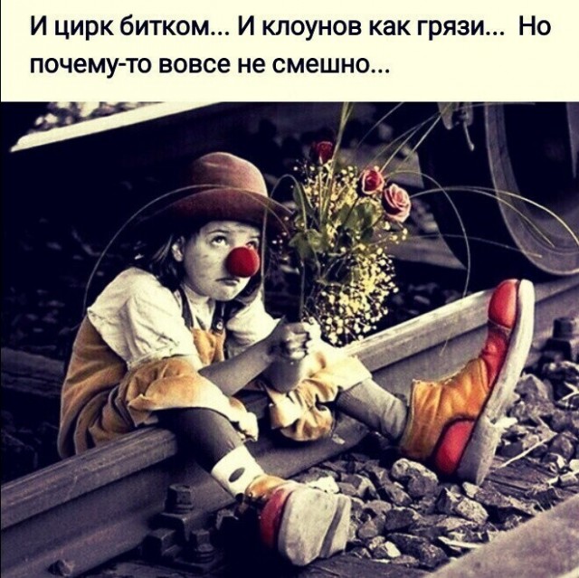 Скачать смешные картинки