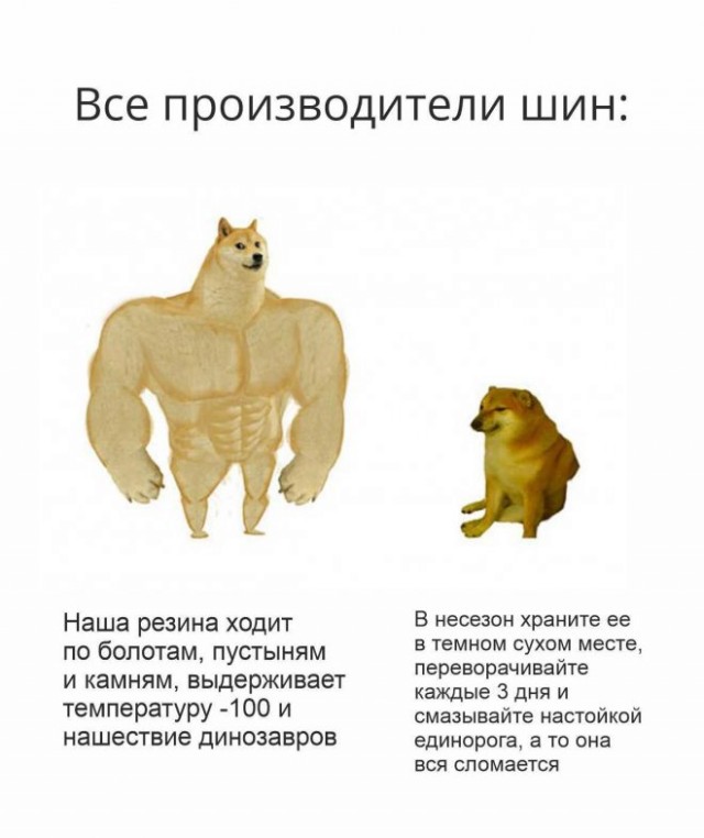 Мемы 2023