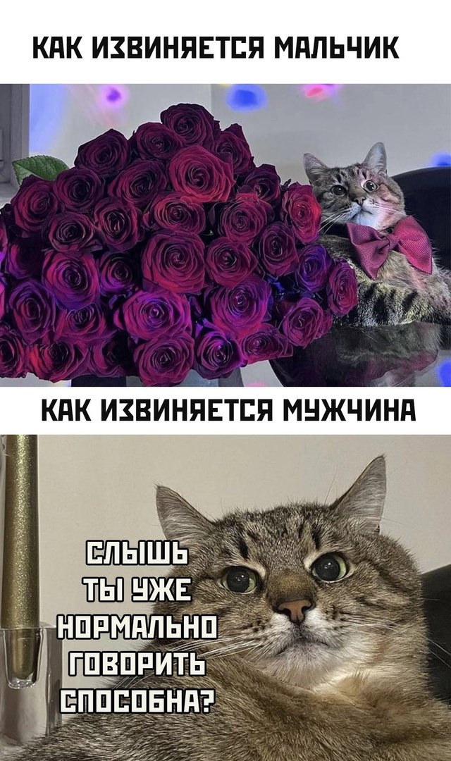 Сжать изображение смешно