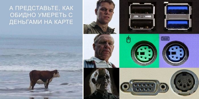 Юмор, приколы, картинки с надписями для хорошего настроения