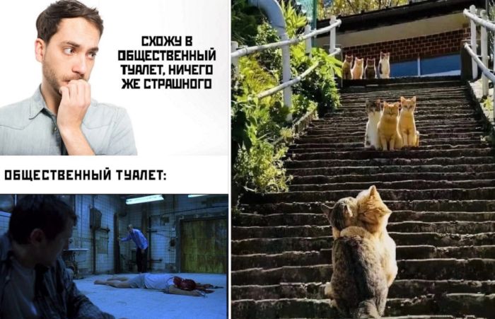 Картинки прикольные