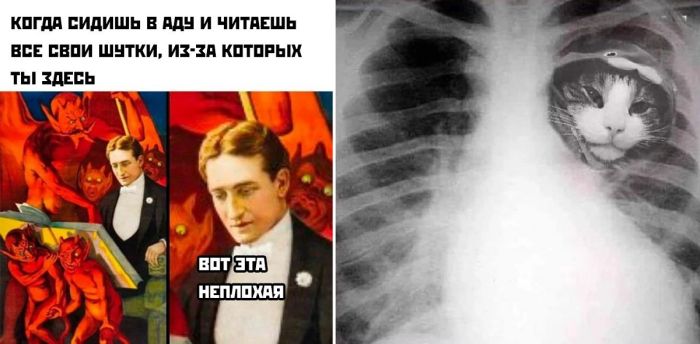 Новые смешные картинки - подборка юмора