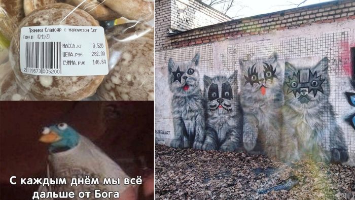 Отличный юмор в картинках с надписью