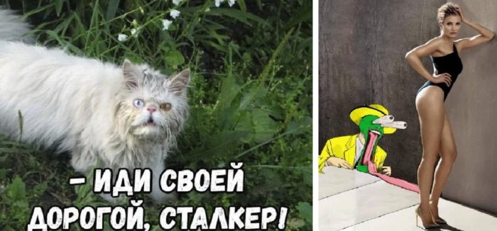 Прикольные картинки в пятницу