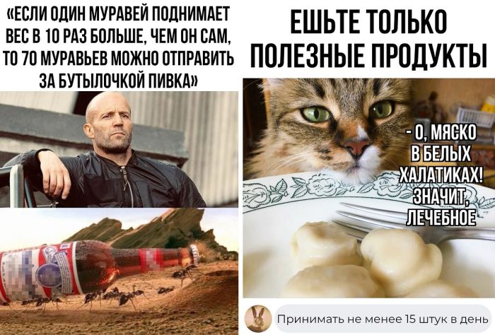 Самые смешные картинки мемы и комментарии