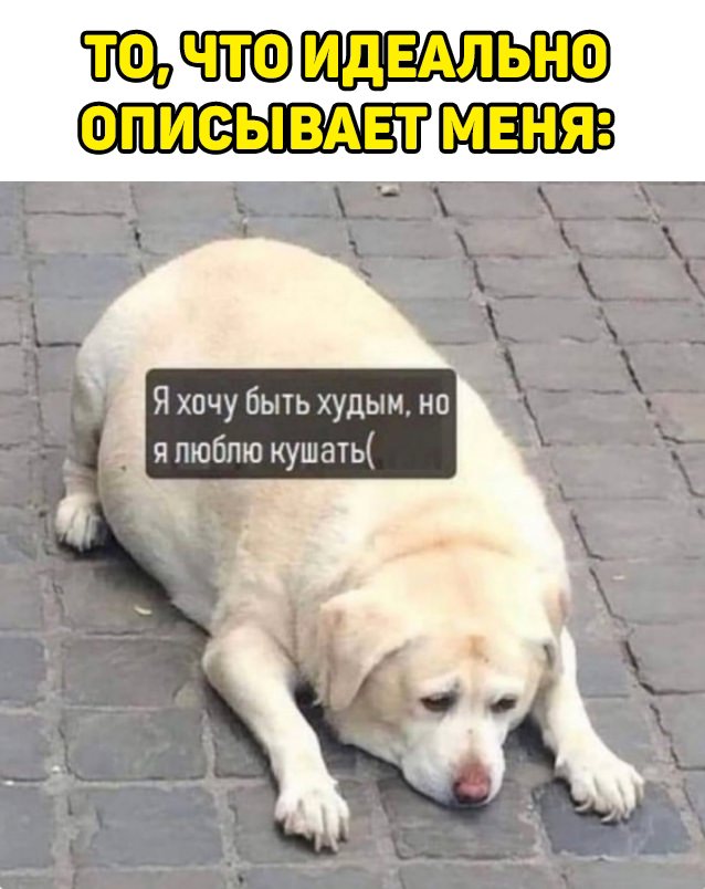 Мемы картинки