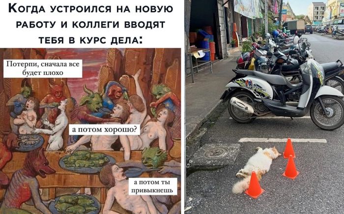 Картинки и фото для поднятия настроения