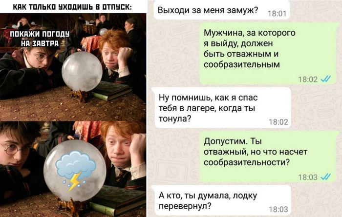 Картинки прикольные смешные (44 фото)