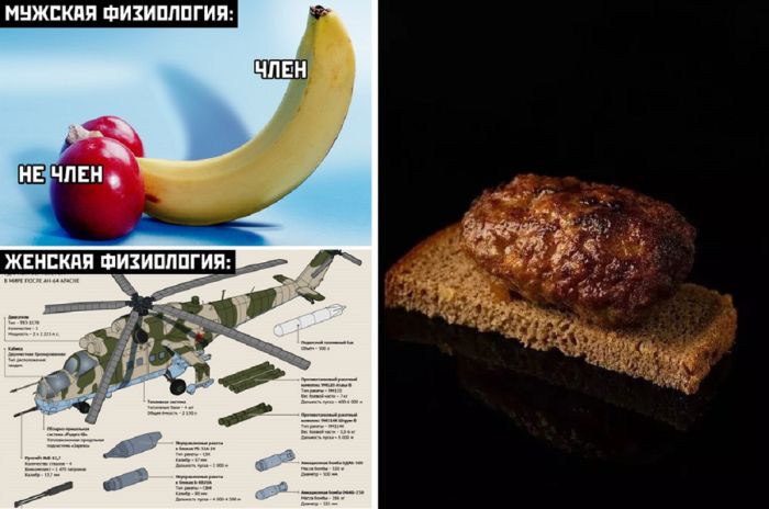 Картинки с юмором прикольные