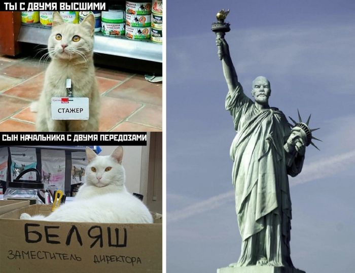 Прикольного дня - смешные картинки