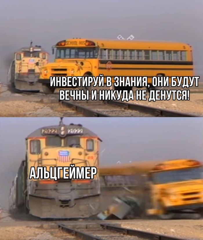 Прикольного дня смешные картинки