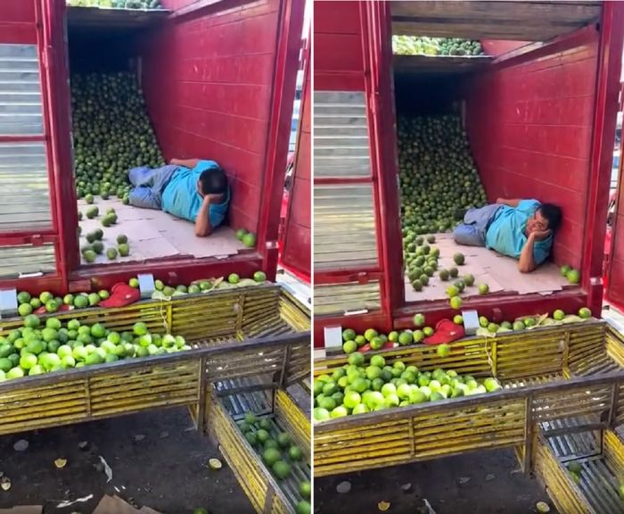 Работа мечты - прикол