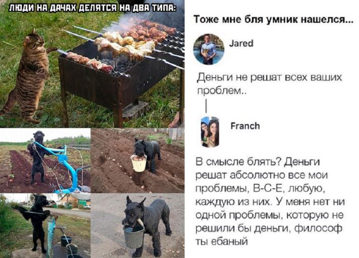 Смешные позитивные прикольные картинки