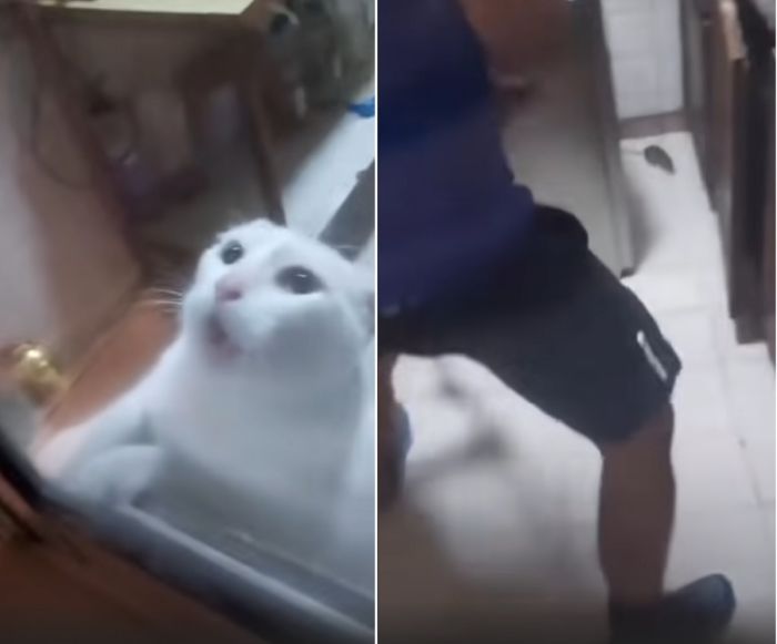 Вот почему не надо врать в резюме