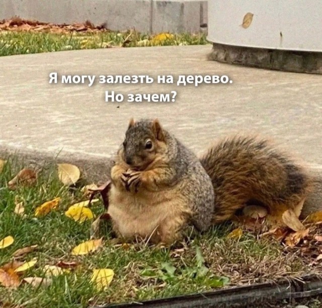 Прикольно фото