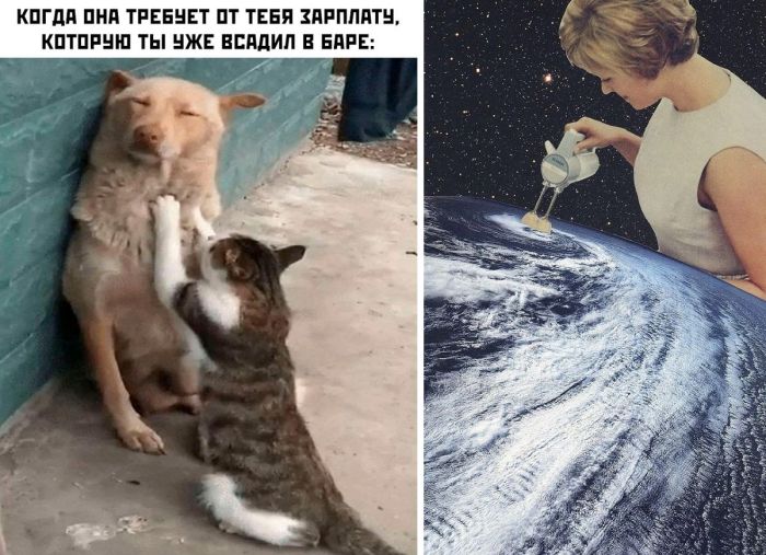 Картинки и фото с прикольными надписями