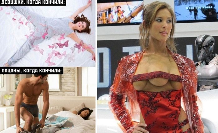 Картинки прикольные с юмором - 40 фото