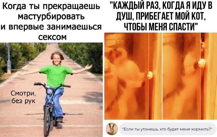 Картинки приколы с надписями поржать