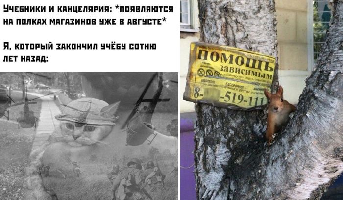 Прикольные картинки - подборка