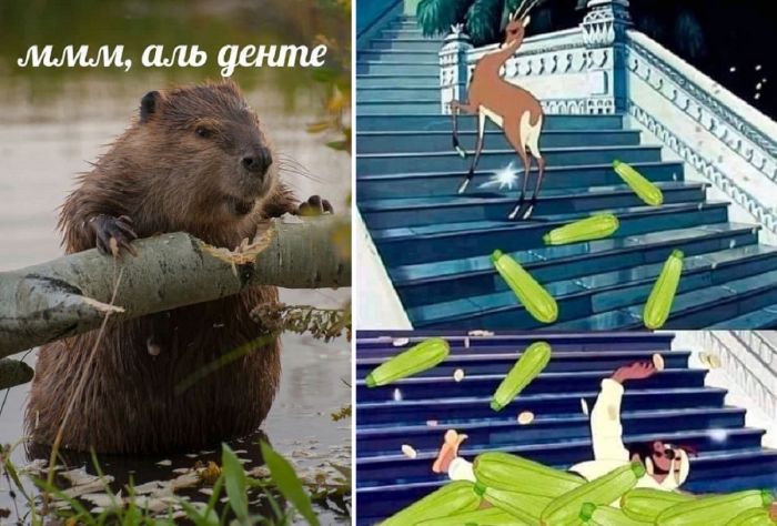 Самые смешные шутки на картинках