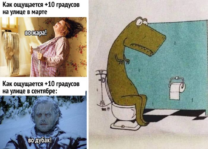 45 смешных картинок с юмористическими надписями и прикольных фото