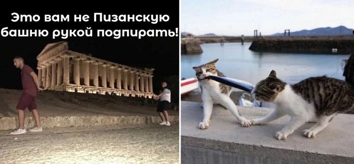 Картинки приколы для поднятия настроения