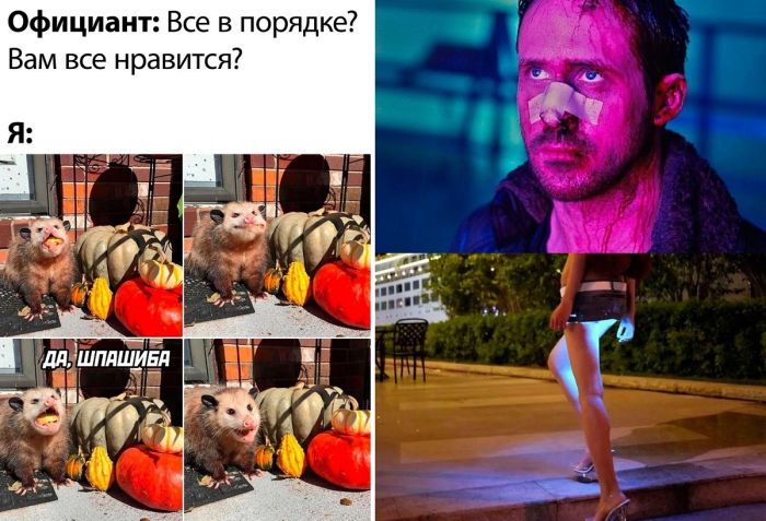 Смешные до слез картинки с надписями