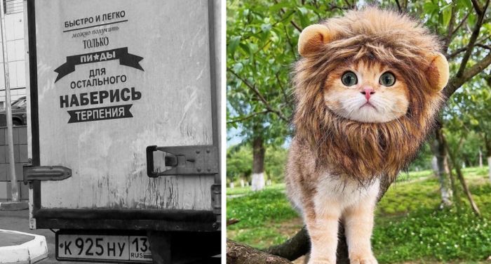 Утренняя подборка Мемов и Весёлых фото