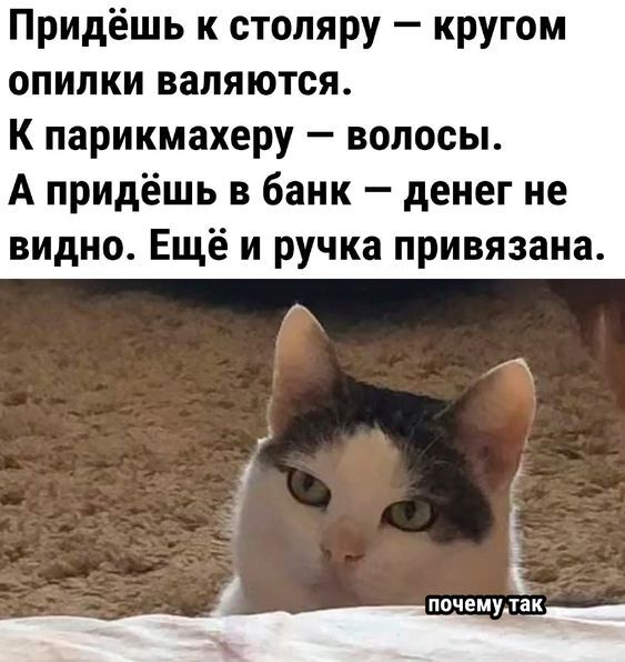 Смешные шутки про маркетинг