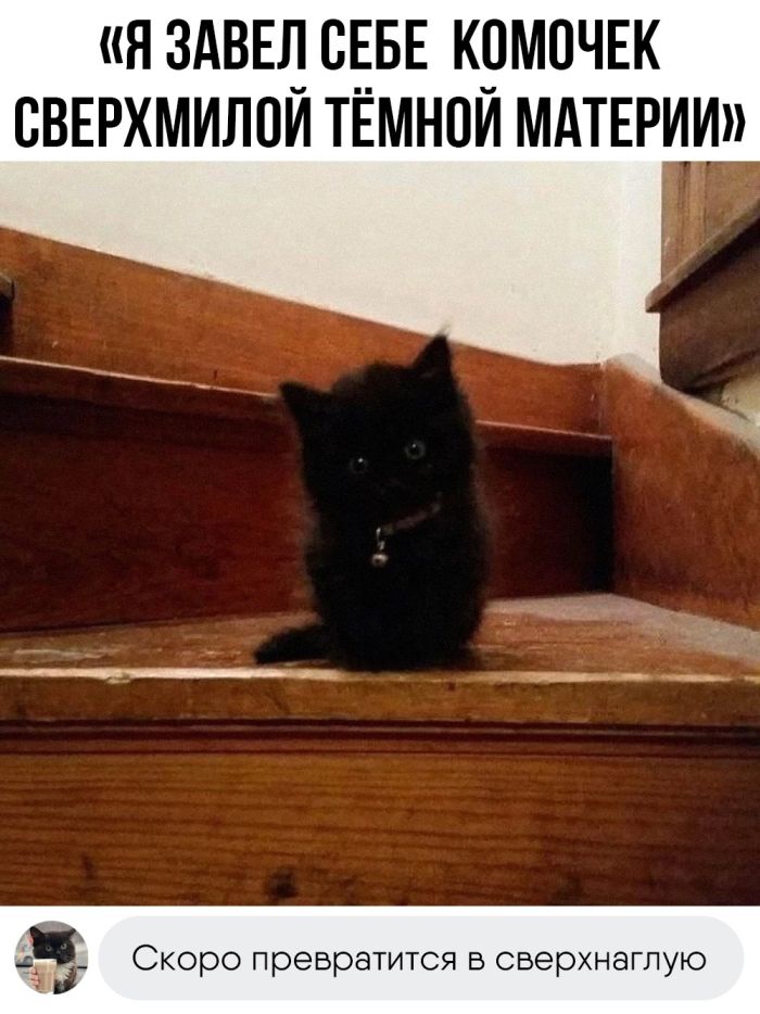 1698251309_smeshnye-kommentarija-iz-prik