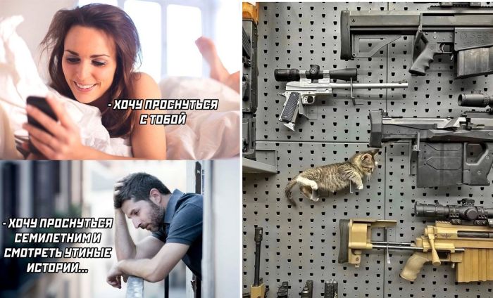 Юмор в самых смешных картинках и фото