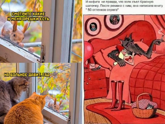 Новая подборка смешных фотоприколов