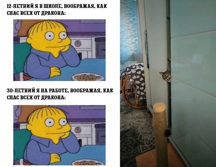 Новые мемы, юмор в смешных картинках